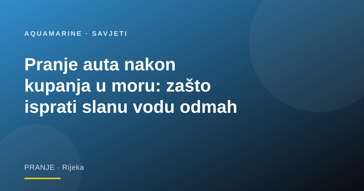Pranje auta nakon kupanja u moru: zašto isprati slanu vodu odmah