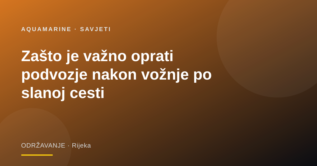 Zašto je važno oprati podvozje nakon vožnje po slanoj cesti