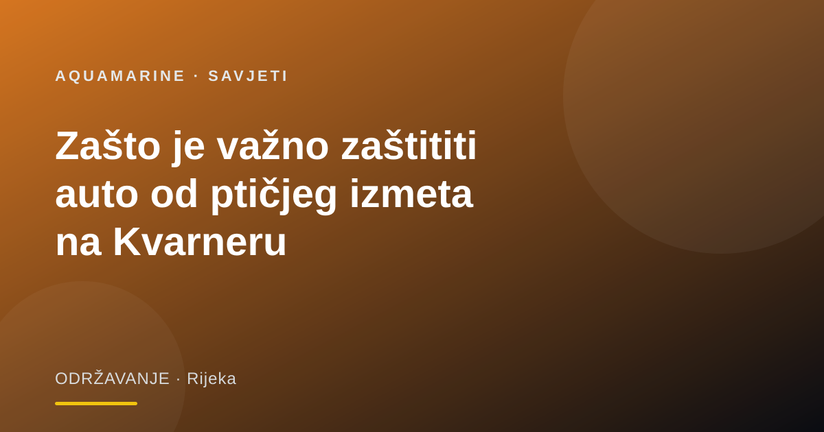 Zašto je važno zaštititi auto od ptičjeg izmeta na Kvarneru